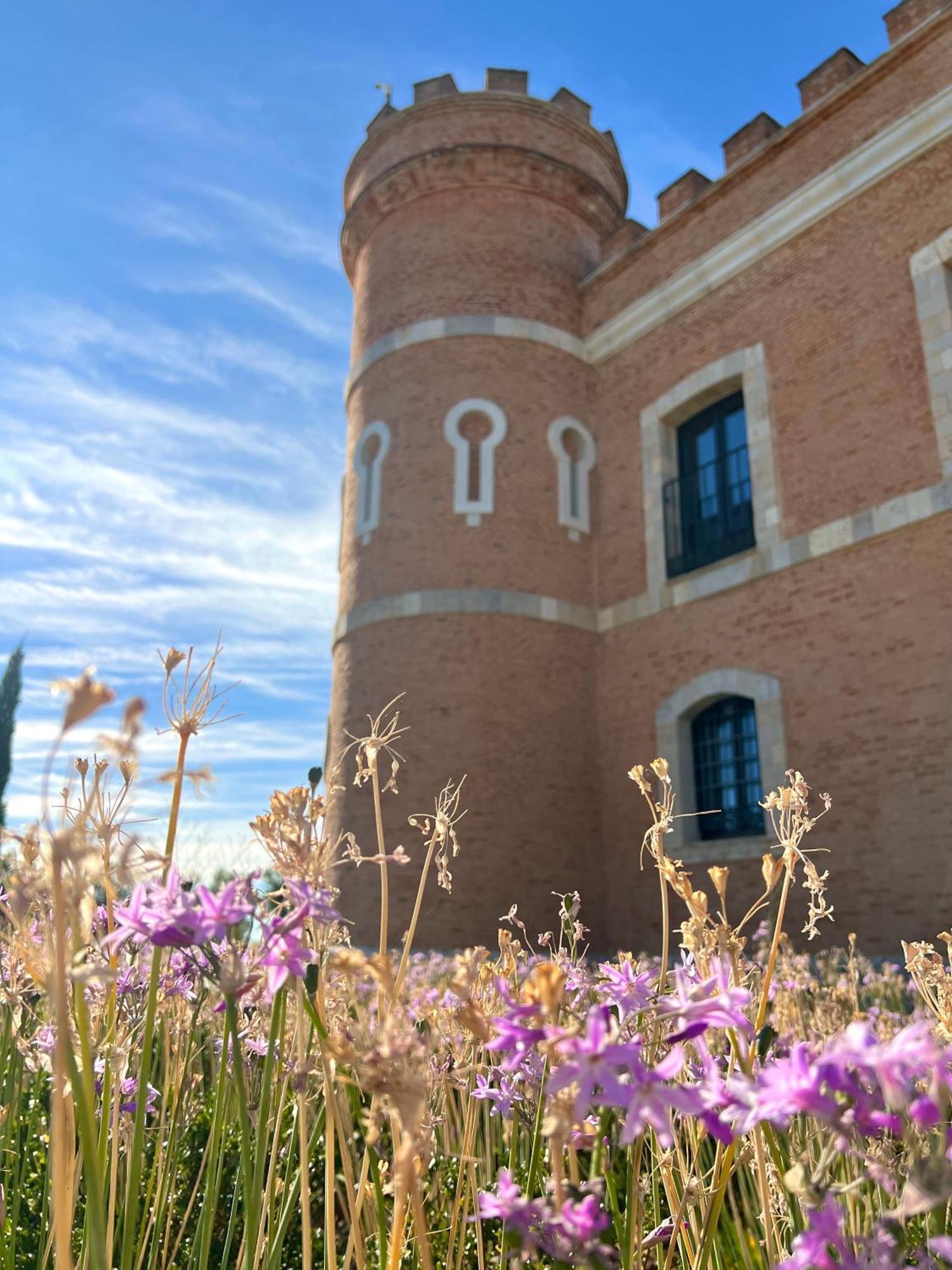 Castillo De Monte La Reina Posada Real & Bodega Торо Екстер'єр фото
